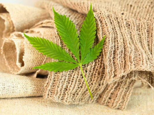 The Sustainability of Hemp: A Natural Choice for a Greener Future