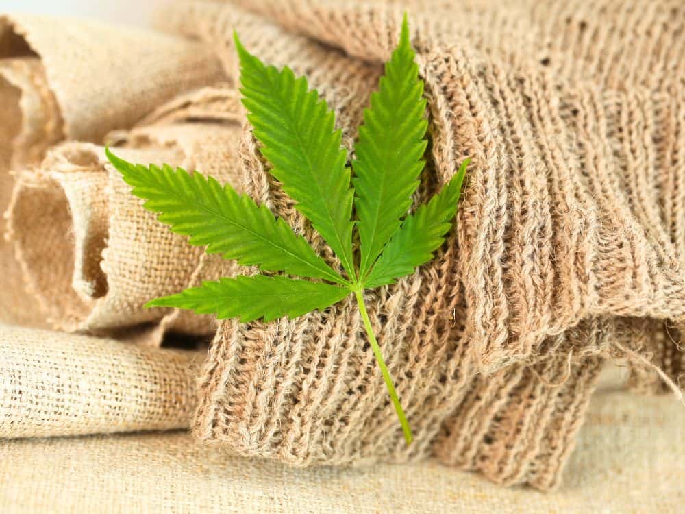 The Sustainability of Hemp: A Natural Choice for a Greener Future